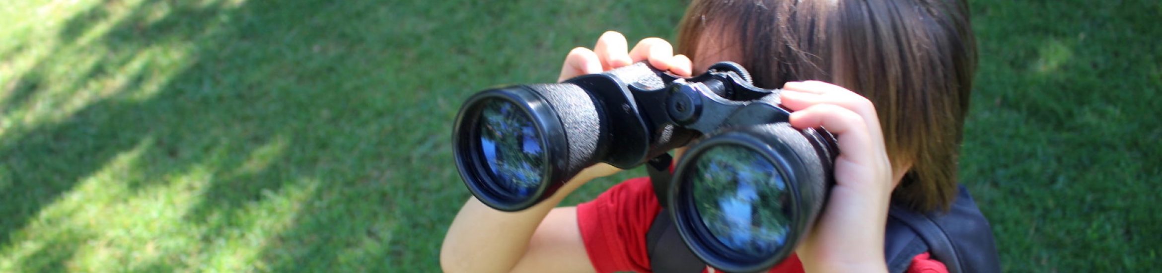 Actividades Educativas en la Naturaleza